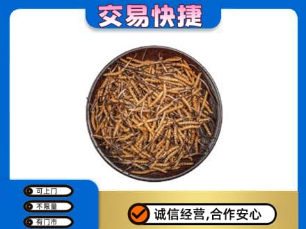 图木舒克市回收散虫草